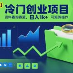 冷门创业项目，资料查询赛道，日入1k+，可矩阵操作”