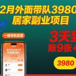 12月外面带队3980的居家副业项目，一部手机实测3天到账9张+，首发教程【揭秘】