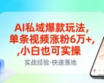 “AI私域爆款玩法，单条视频涨粉6W+，小白也可实操