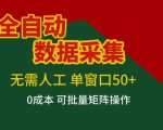 全自动数据采集，无需人工，单窗口50+，0成本可批量矩阵操作【揭秘】