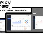 谷歌独立站SEO运营，手把手教你提升网站排名、分析竞争对手