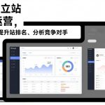 谷歌独立站SEO运营，手把手教你提升网站排名、分析竞争对手