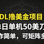 DL撸美金项目，单日单机50美刀，操作简单，可矩阵多开
