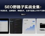 SEO野路子实战全集：快速收录、站群霸屏、黑帽技术，全是可直接上手的干货教程