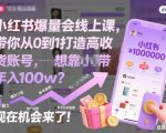小红书爆量会线上课，带你从0到1打造高收益带货账号，想靠小红书带货年入100w