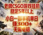 老牌CSGO游戏挂G，稳定5年以上，小白一部手机单日賺3张+，无需电脑