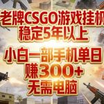 老牌CSGO游戏挂G，稳定5年以上，小白一部手机单日賺3张+，无需电脑