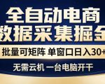 全自动电商数据集掘金，批量可矩阵，单窗口日入30+，无需云机，一台电脑开干