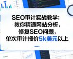 “SEO审计实战教学：教你精通网站分析，修复SEO问题，单次审计报价5k美元以上
