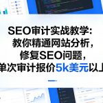 “SEO审计实战教学：教你精通网站分析，修复SEO问题，单次审计报价5k美元以上
