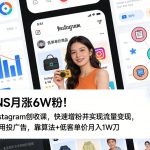 INS月涨6W粉！Instagram创收课，快速增粉并实现流量变现，不用用投广告，靠算法+低客单价月入1W刀