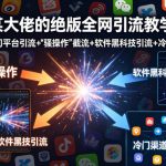 某大佬的绝版全网引流教学，各大热门平台引流+