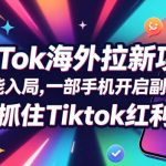 Tc联盟TikTok海外拉新项目，新手也能入局，一部手机开启副业变现，抓住Tiktok红利