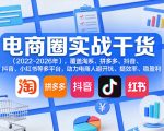 电商圈实战干货（2023-2026年），覆盖淘系、拼多多、抖音、小红书等多平台，助力电商人避开坑、提效率、稳盈利（