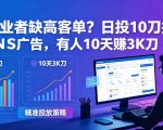 自由职业者缺高客单？日投10刀搞FB+INS广告，有人10天赚3K刀！