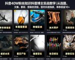 抖音40W粉丝知识科普博主实战教学｜从选题、文案、素材、剪辑全流程，签约抖音精选独家，单条收益1k+