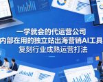 一学就会的代运营公司内部在用的独立站出海营销AI工具，复刻行业成熟运营打法