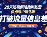 28天短视频陪跑训练营，保姆级IP孵化课，打破流量信息差，从0打造高流量账号