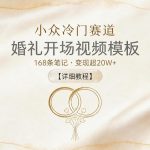 小众冷门赛道，婚礼开场视频模板，168条笔记，变现超20W+