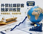 外贸社媒获客独家训练营，外贸新模式，快速做外贸（更新26年4月）