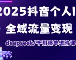 抖音个人IP全域流量变现进阶课，deepseek千川爆单进阶课