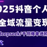 抖音个人IP全域流量变现进阶课，deepseek千川爆单进阶课