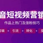 抖音短视频运营班，一门课学会作品上热门及涨粉技巧，引流转化剪辑变现