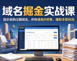 域名交易掘金实战课，低价收购过期域名，并快速高价转售，賺取丰厚利润【原创双语字幕】