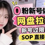 零粉新号网盘拉新实操：新号轻松过限流，标准化SOP直接套用