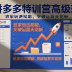 拼多多特训营高阶班：独家玩法赋能店铺运营，突破增长天花板（2026.10.17更新）